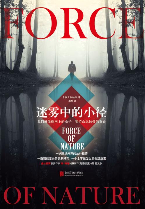 迷雾中的小径