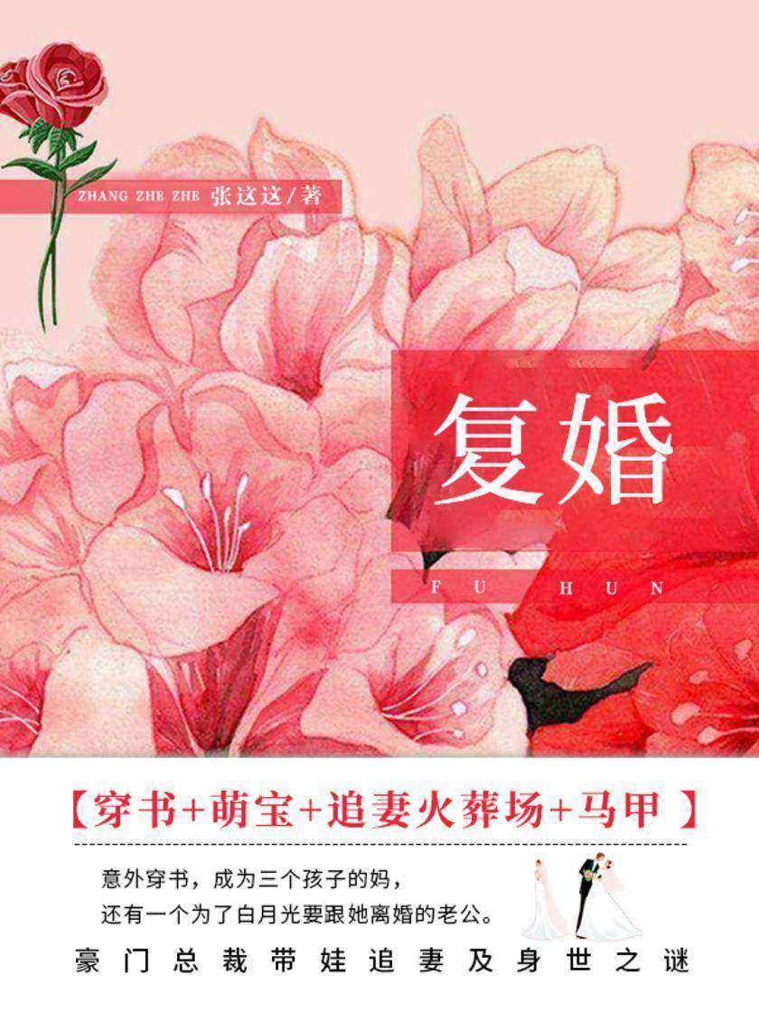 复婚(第2卷)