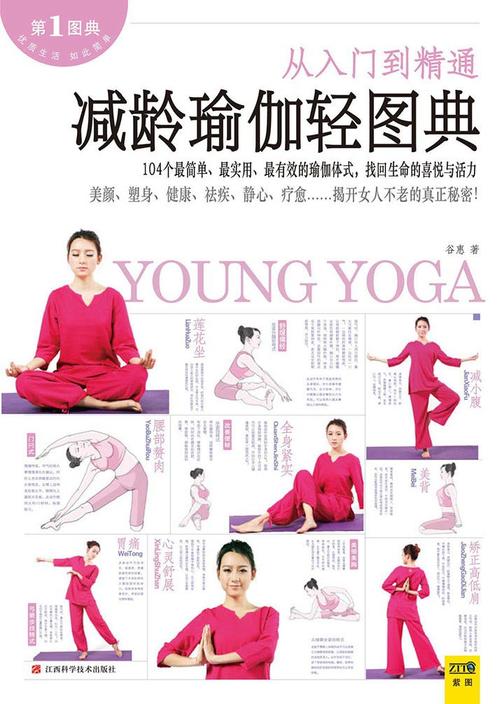 减龄瑜伽轻图典
