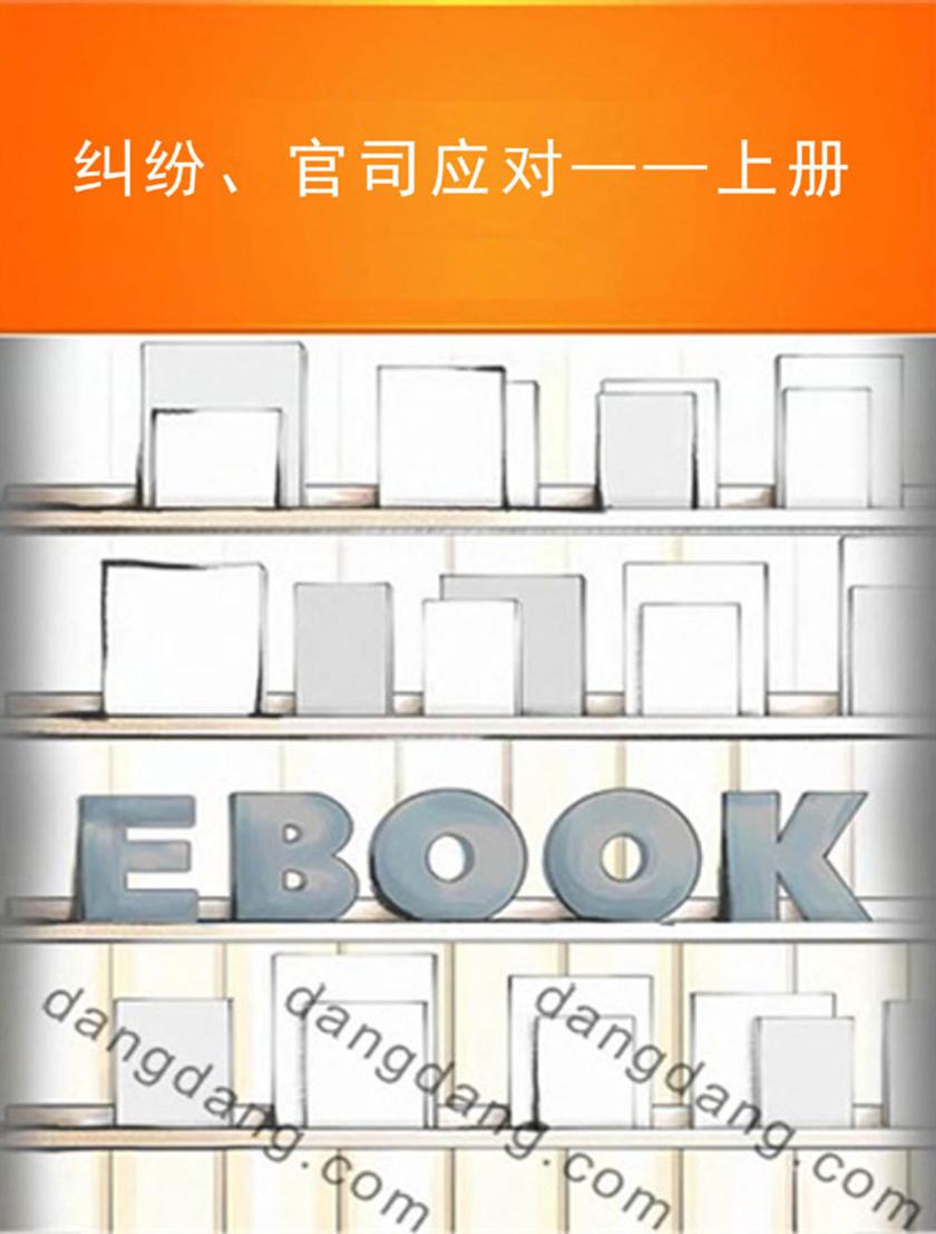 纠纷、官司应对——上册