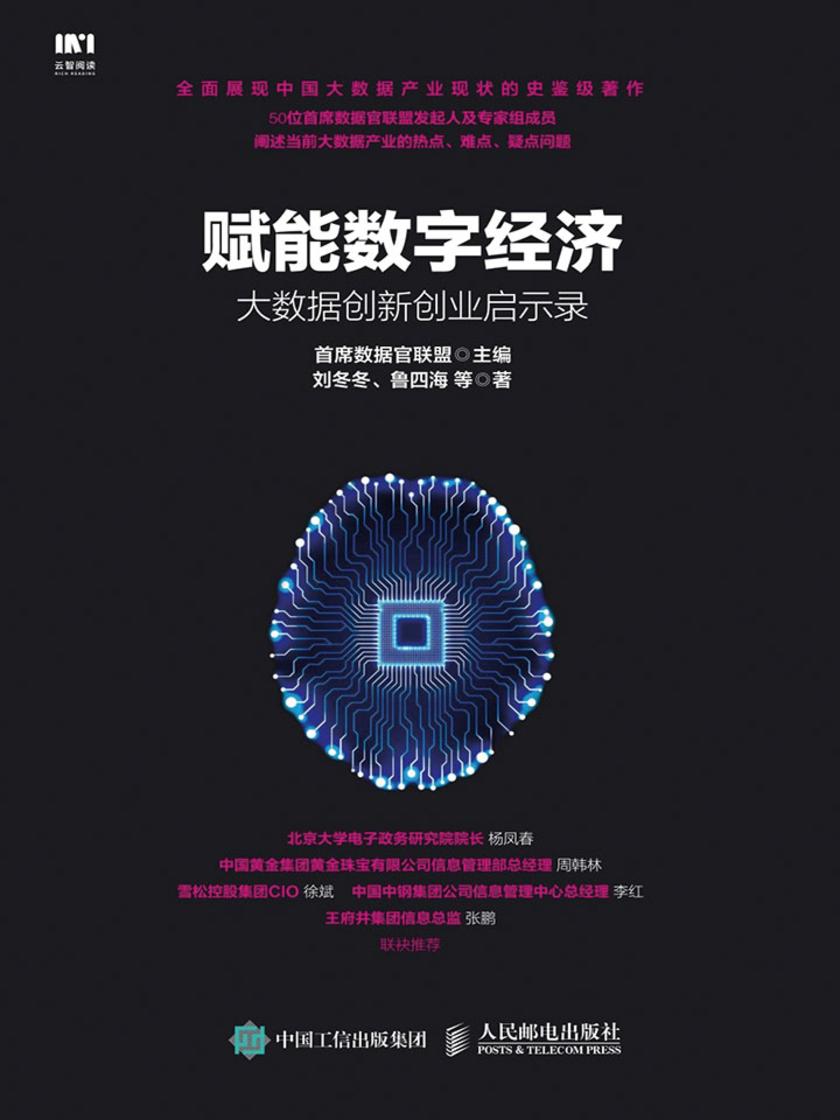 赋能数字经济：大数据创新创业启示录