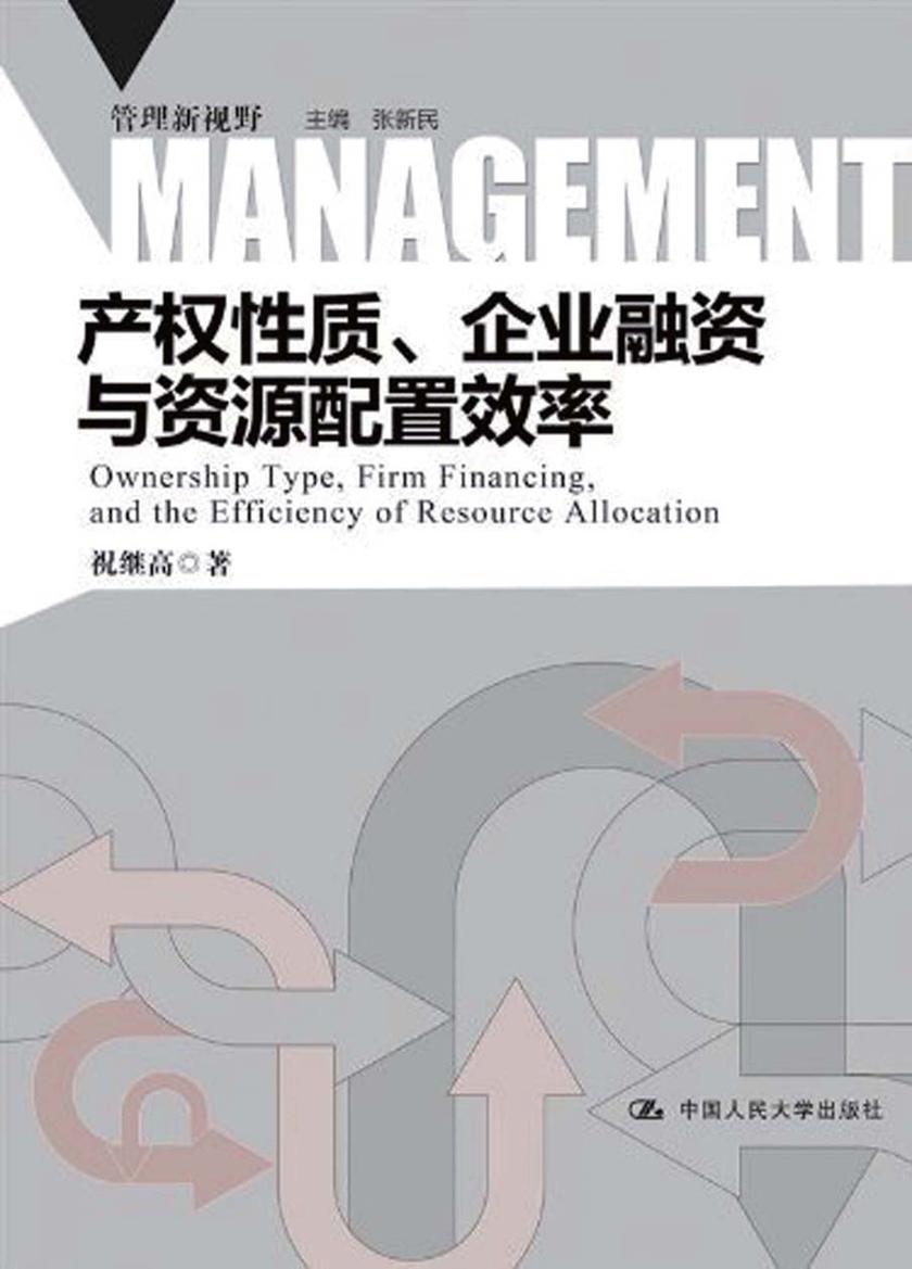 产权性质、企业融资与资源配置效率（管理新视野）