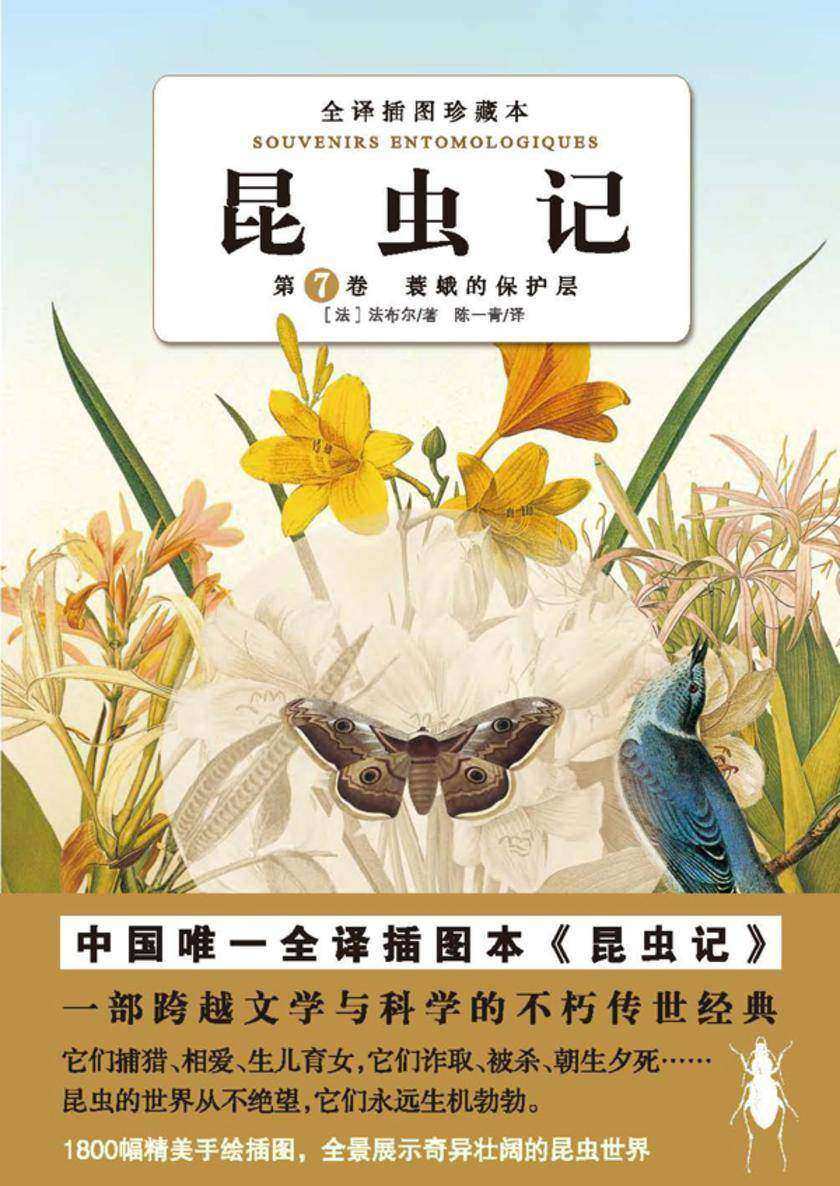 昆虫记（第七卷）：蓑蛾的保护层