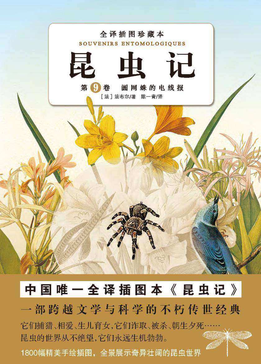昆虫记（第九卷）：圆网蛛的电线报