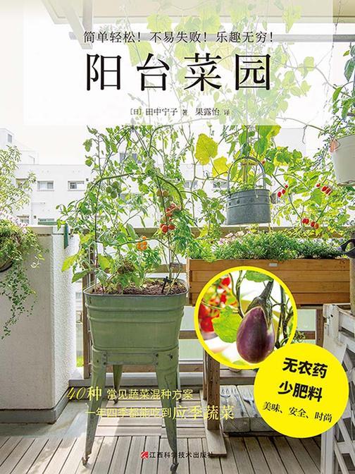 阳台菜园