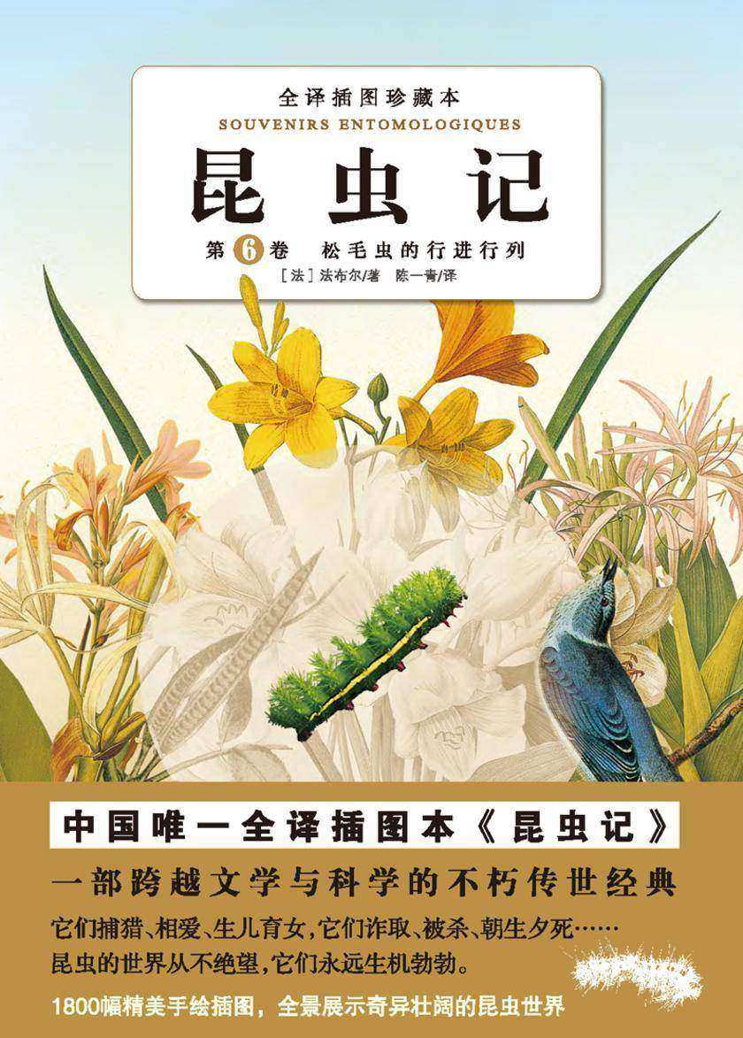 昆虫记（第六卷）：松毛虫的行进行列