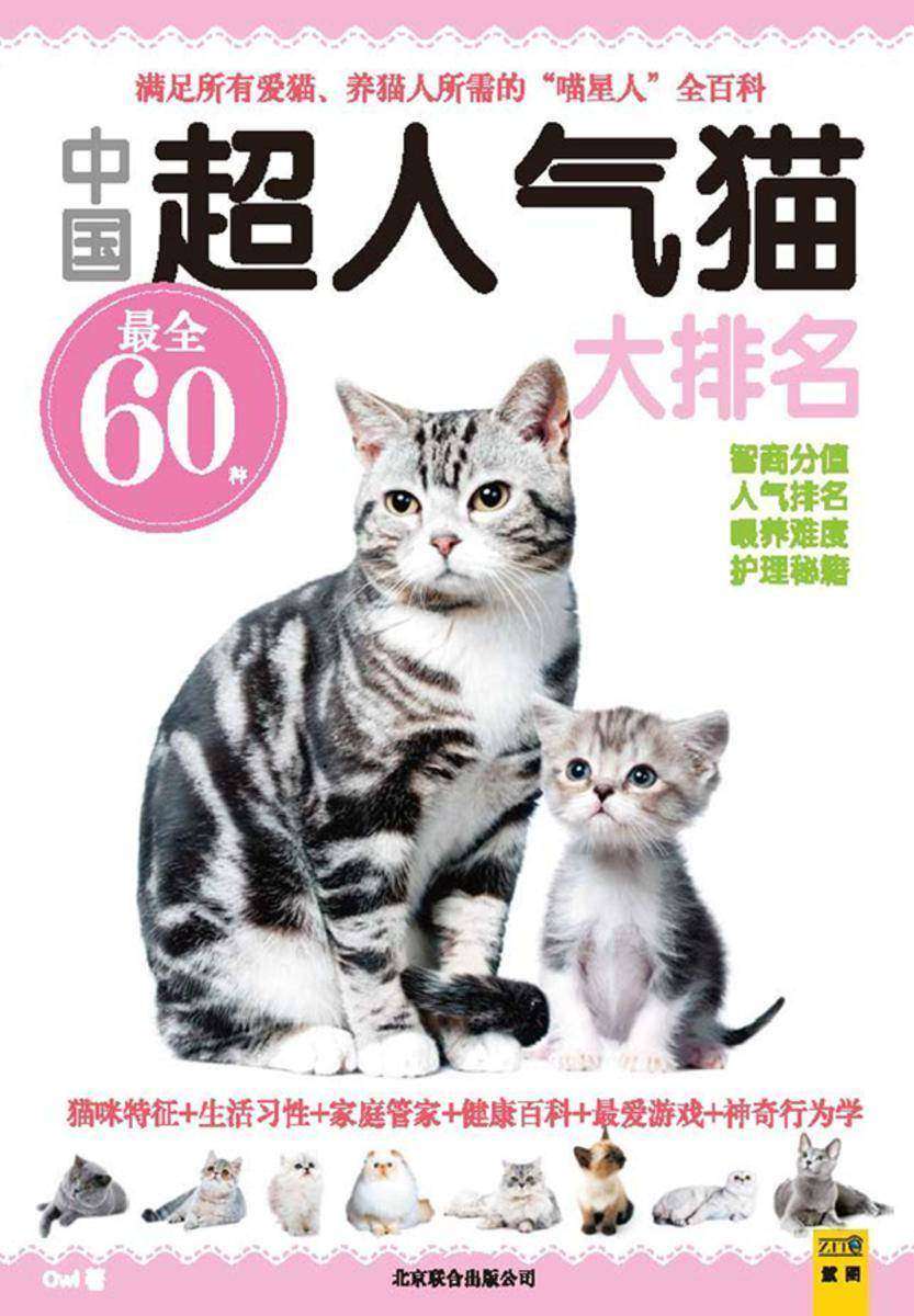 中国超人气猫大排名