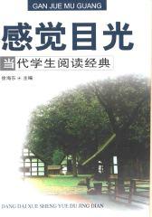 感觉目光