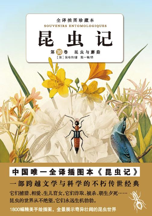 昆虫记（第十卷）：昆虫与蘑菇