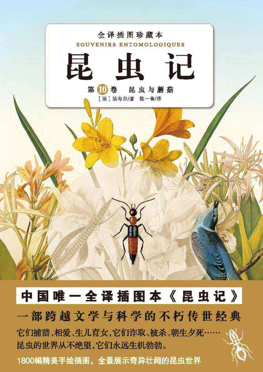 昆虫记（第十卷）：昆虫与蘑菇