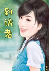 到访者