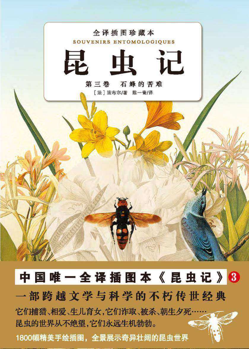 昆虫记（第三卷）：石蜂的苦难