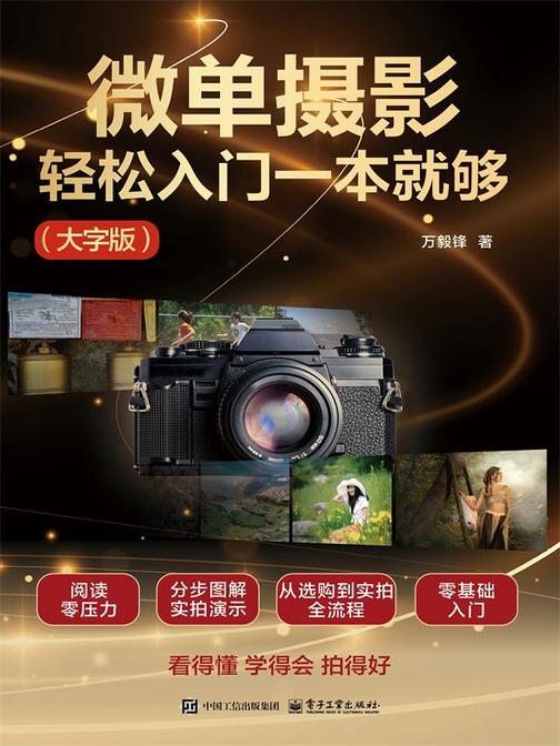 微单摄影轻松入门一本就够(大字版)