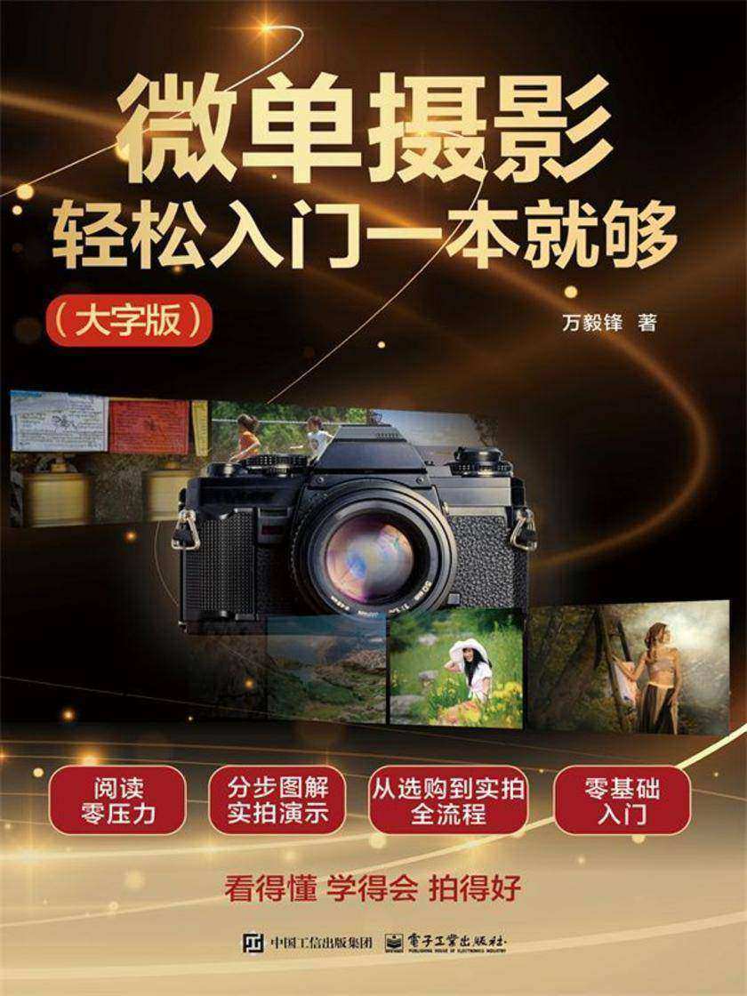 微单摄影轻松入门一本就够(大字版)
