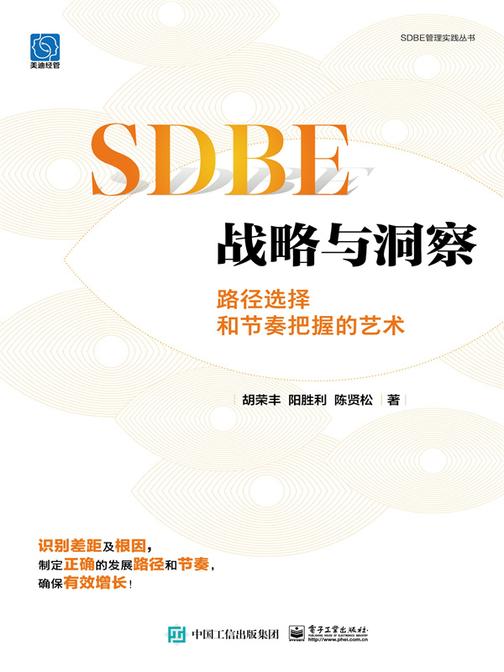 SDBE战略与洞察:路径选择和节奏把握的艺术