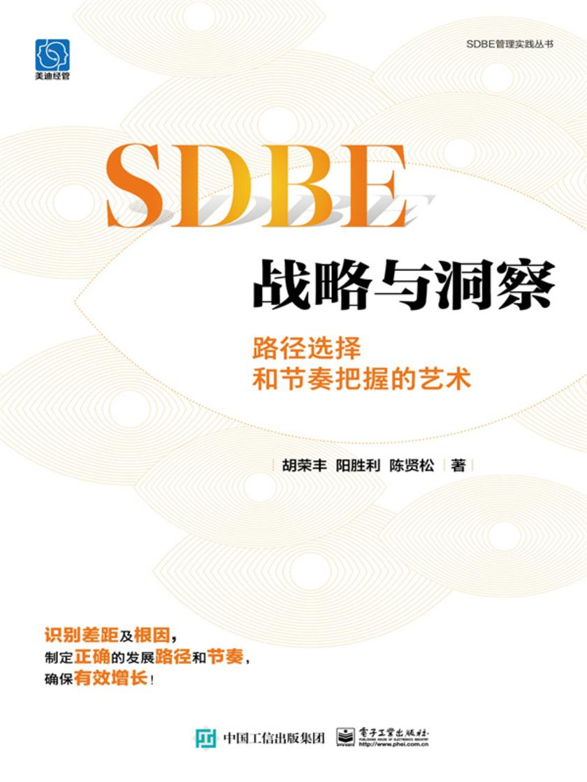SDBE战略与洞察:路径选择和节奏把握的艺术
