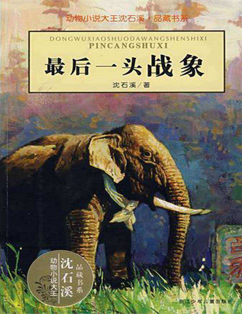 最后一头战象(动物小说大王沈石溪·品藏书系)