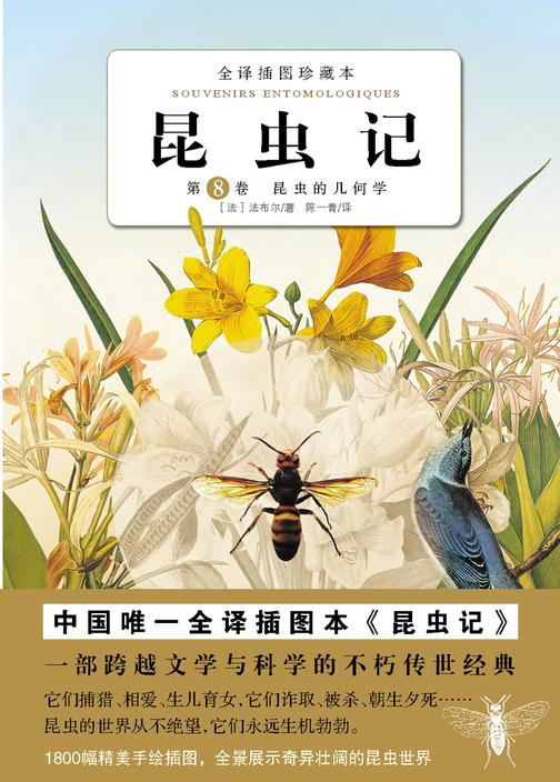 昆虫记（第八卷）：昆虫的几何学