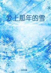 爱上那年的雪