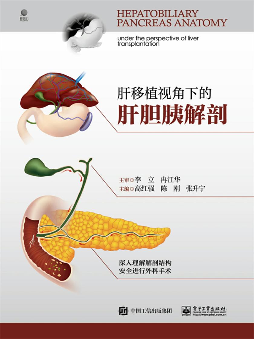 肝移植视角下的肝胆胰解剖