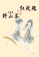 红玫瑰与野山茶