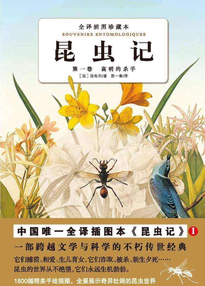 昆虫记（第一卷）：高明的杀手