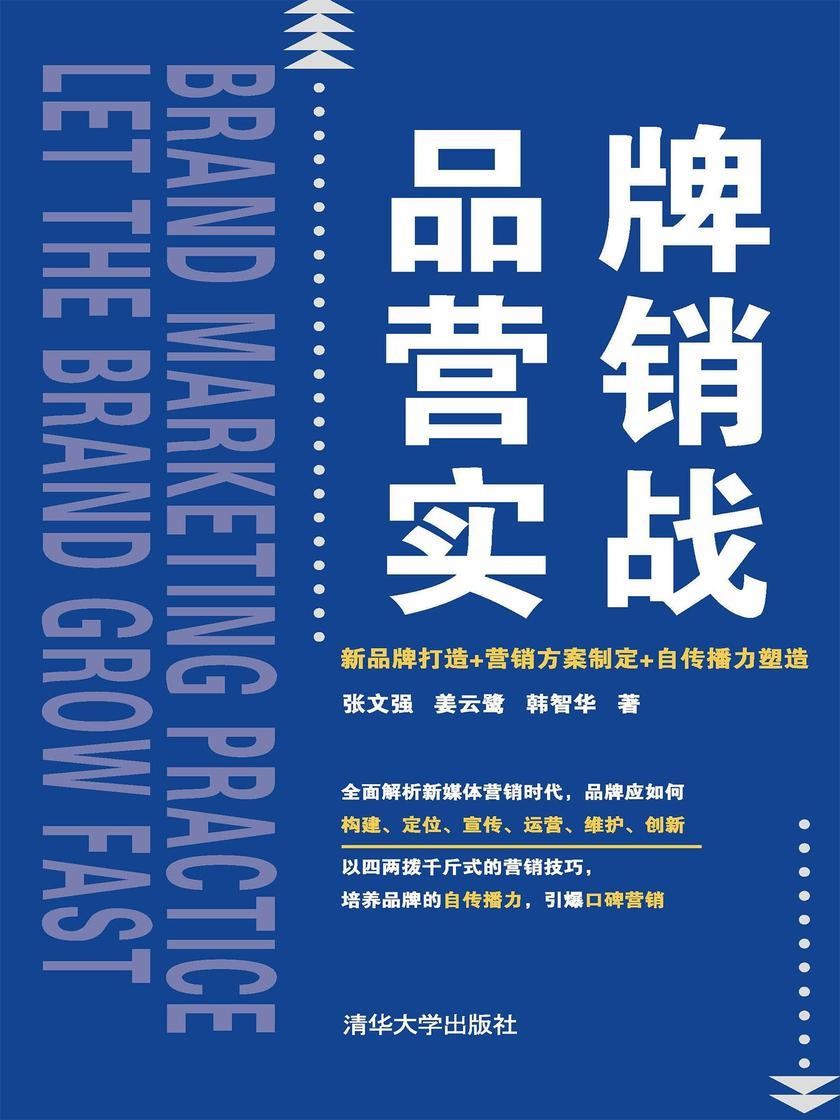 品牌营销实战:新品牌打造+营销方案制定+自传播力塑造