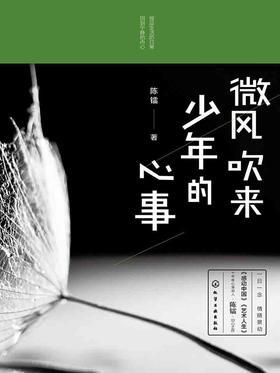 微风吹来少年的心事