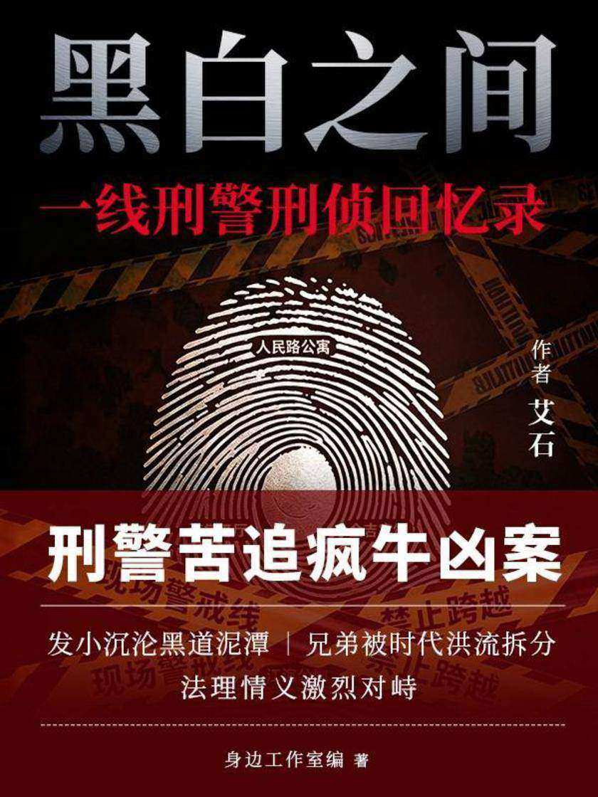 黑白之间:一线刑警刑侦回忆录