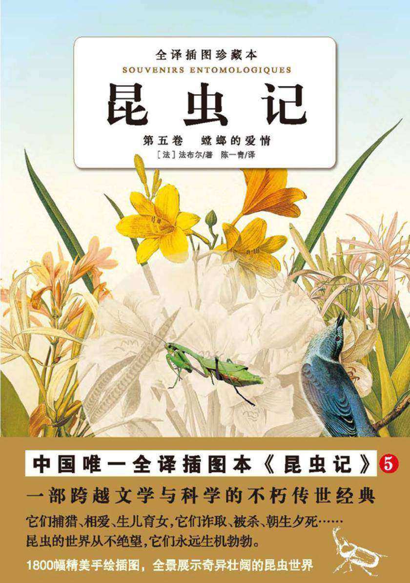 昆虫记（第五卷）：螳螂的爱情