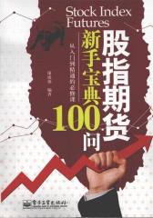股指期货新手宝典100问
