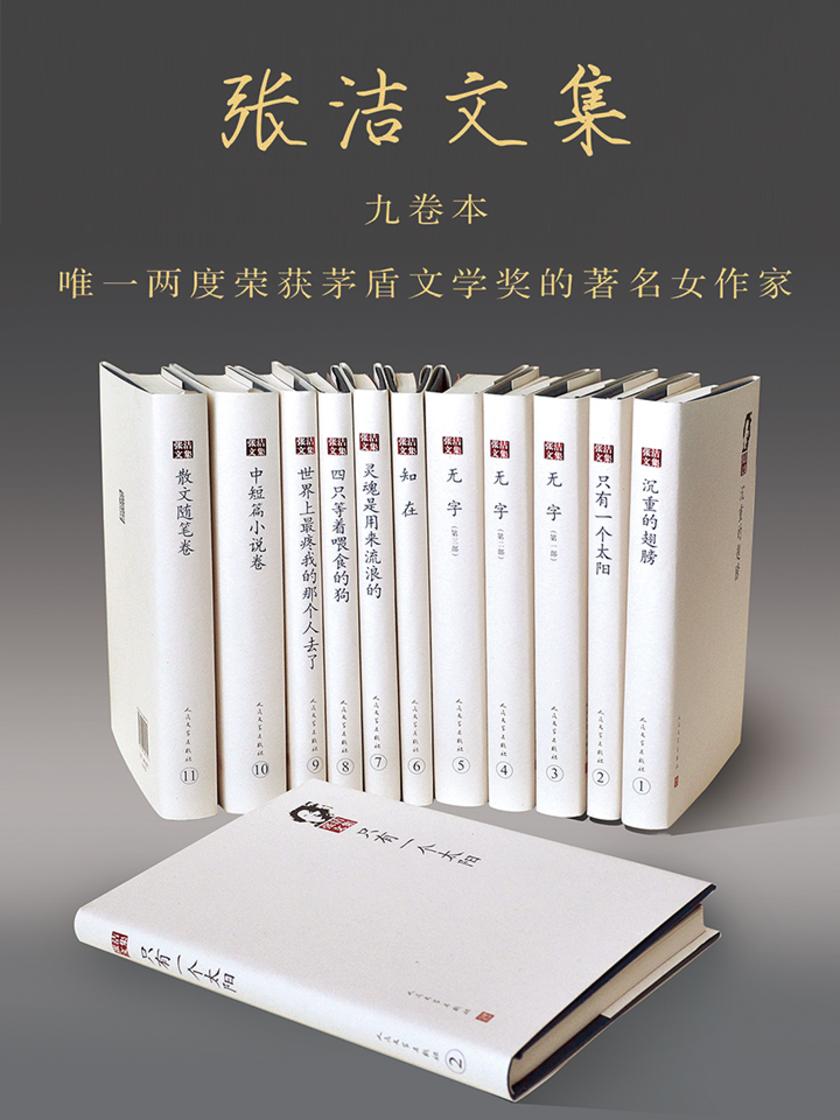 张洁作品集(套装共11册)