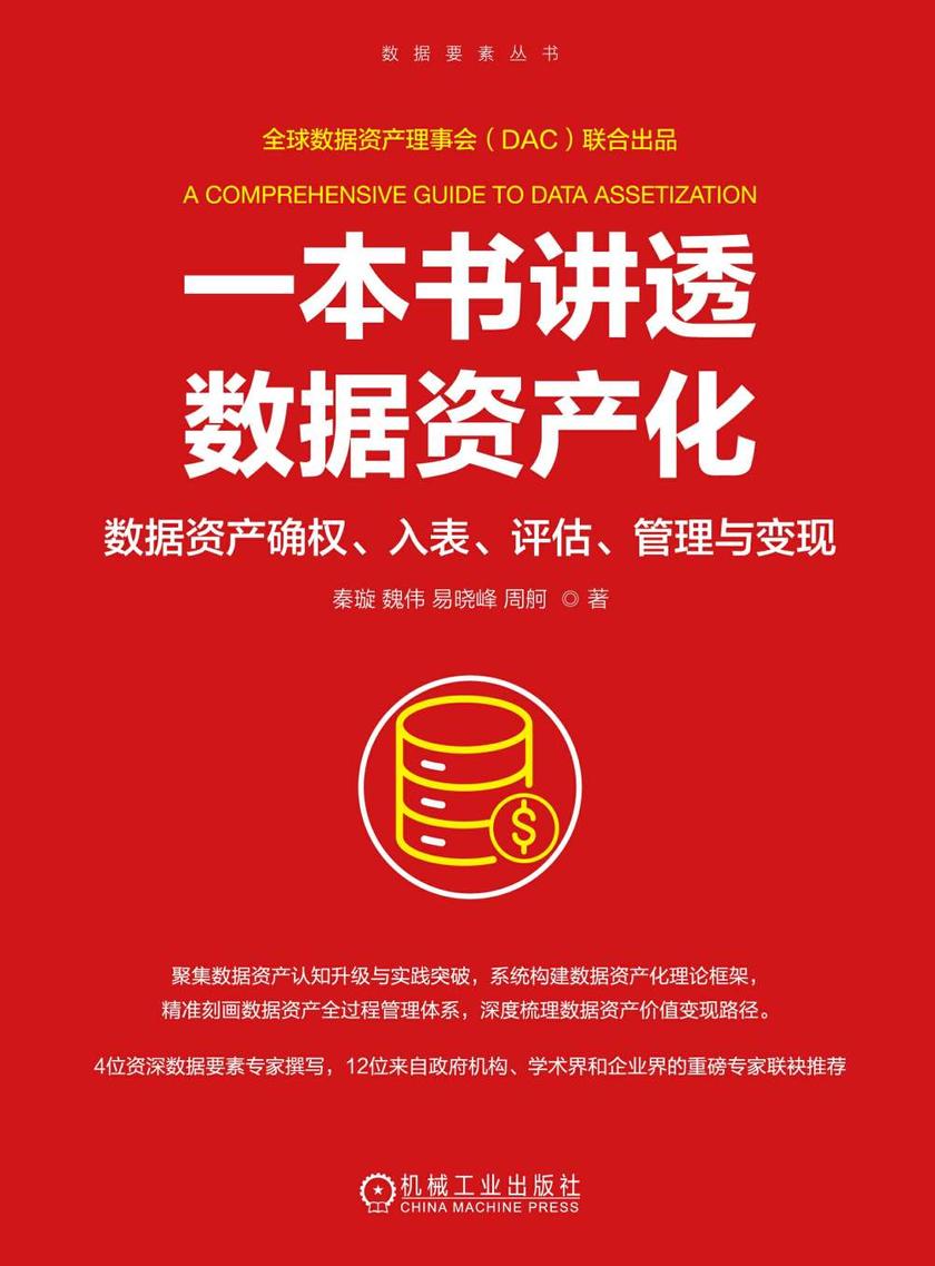 一本书讲透数据资产化:数据资产确权、入表、评估、管理与变现
