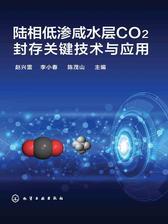 陆相低渗咸水层CO2封存关键技术与应用