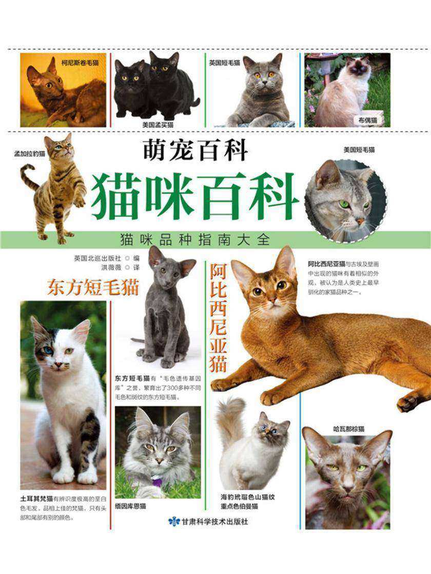 猫咪百科