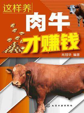 这样养肉牛才赚钱