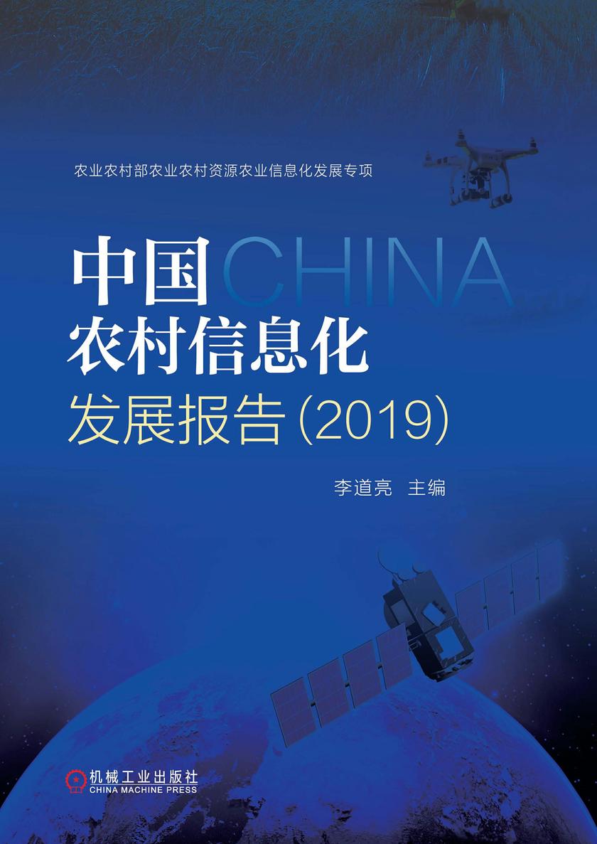 中国农村信息化发展报告(2019)