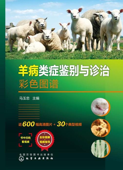 羊病类症鉴别与诊治彩色图谱