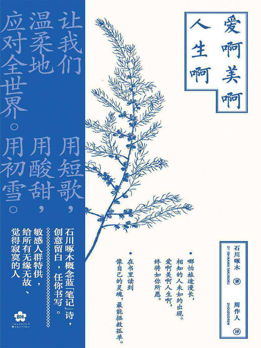 爱啊美啊人生啊(在深深的悲悯中看见初雪般的温柔，“概念蓝”笔记本诗集。)