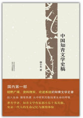 中国知青文学史稿(试读本)