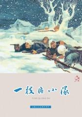 连环画专辑：胜利日·一支区小队