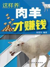这样养肉羊才赚钱