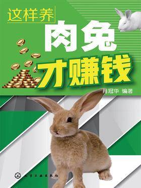 这样养肉兔才赚钱