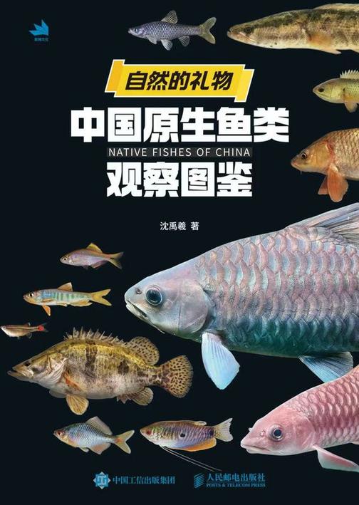 自然的礼物 中国原生鱼类观察图鉴
