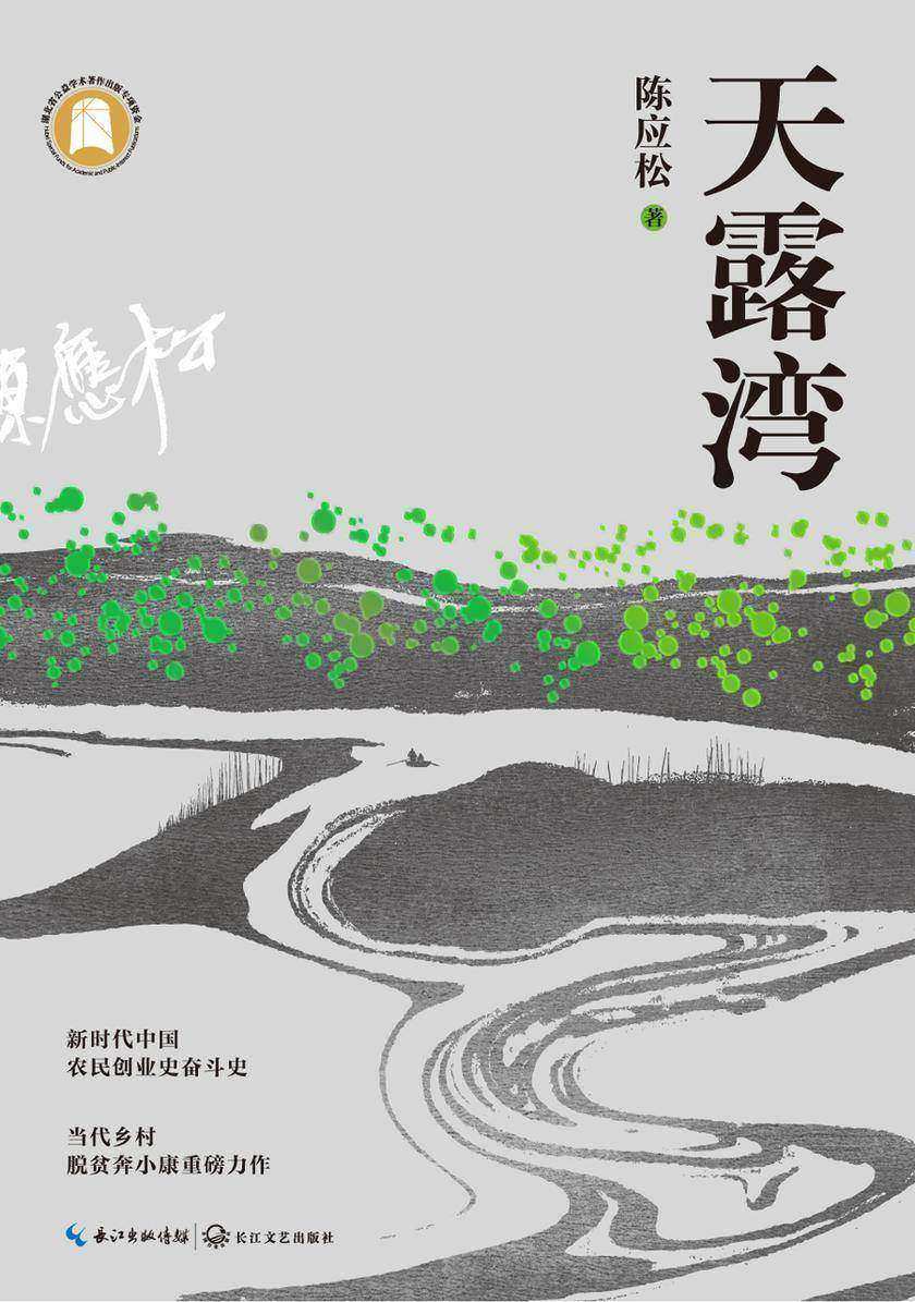 天露湾(新时代中国农民创业史奋斗史,当代乡村脱贫奔小康重磅力作)