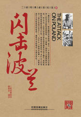 闪击波兰