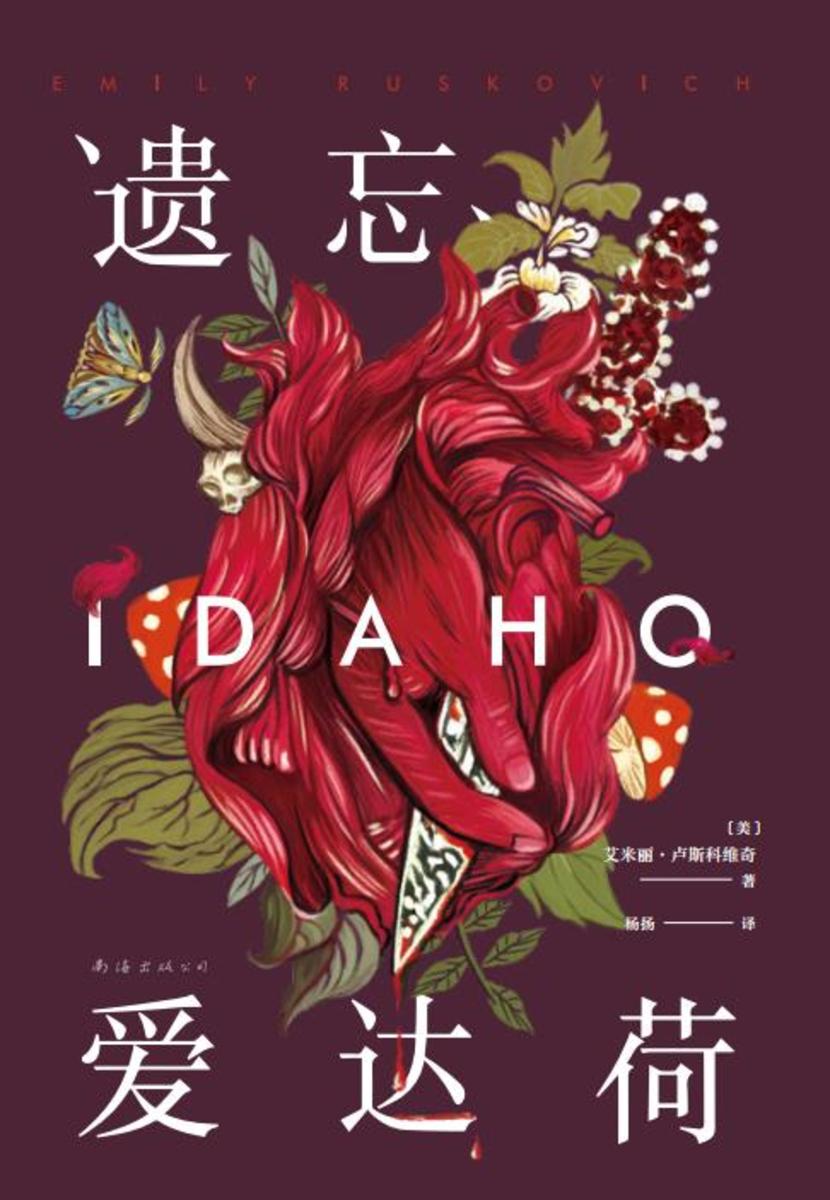 遗忘爱达荷