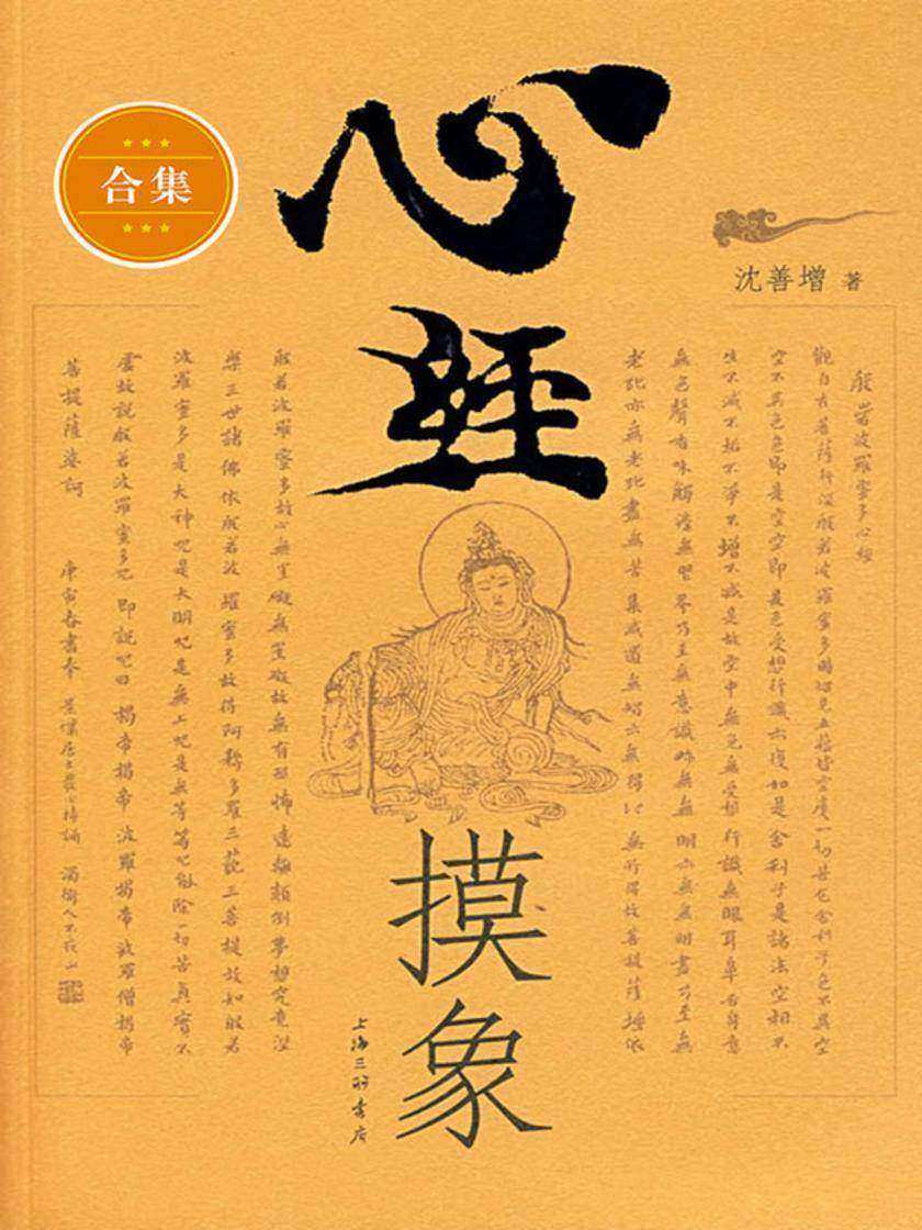 心经摸象