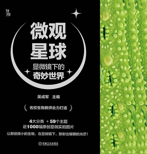 微观星球:显微镜下的奇妙世界