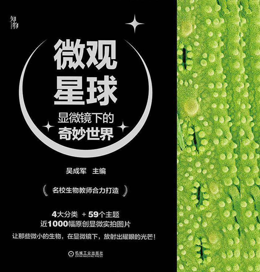 微观星球:显微镜下的奇妙世界